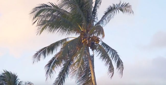 RECO Kayaking | RECO Alumni