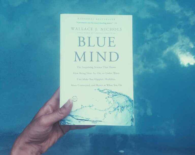 Blue Mind by wallace J. Nichols