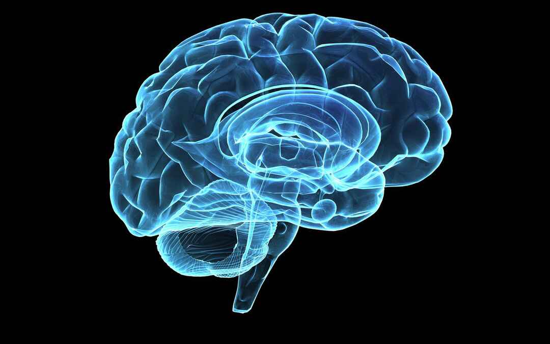 Research Finds Specific Hormone Linked to Alcohol Abuse and Cravings