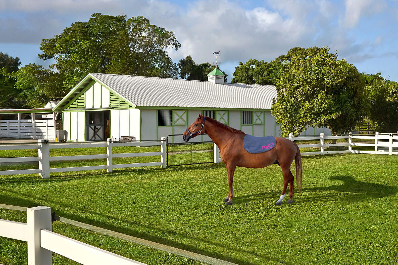 RECO Ranch Horse Stables in Delray Beach, FL