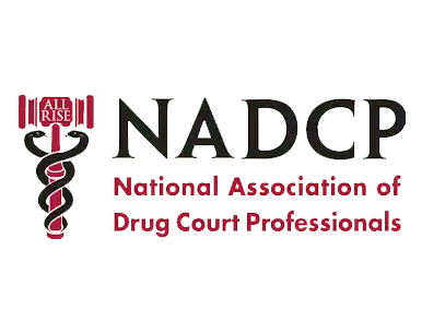 National Association of Drug Court Professionals