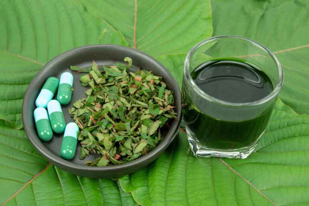 Kratom Use Linked in Overdose Deaths: The Latest CDC Report