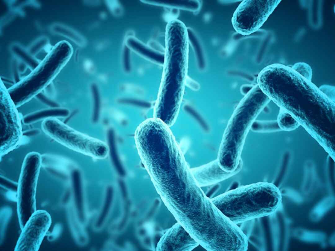 Flesh Eating Bacteria Linked to Black Tar Heroin Kills Seven People