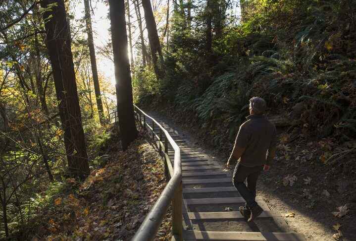 Nature Versus Nurture and Its Impact on Addiction