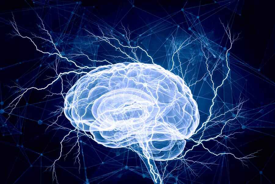 Effects of Drugs on the Brain