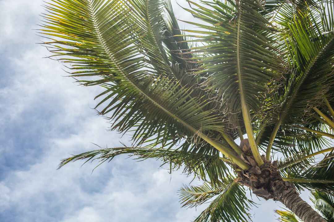 Dual Diagnosis Treatment in South Florida