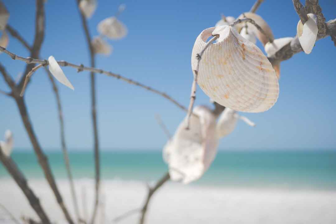 Addiction Treatment Programs in South Florida